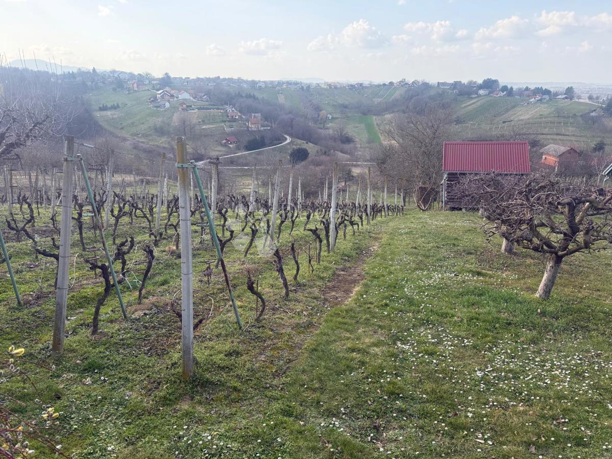 Casa Seketin, Sveti Ilija, 50m2