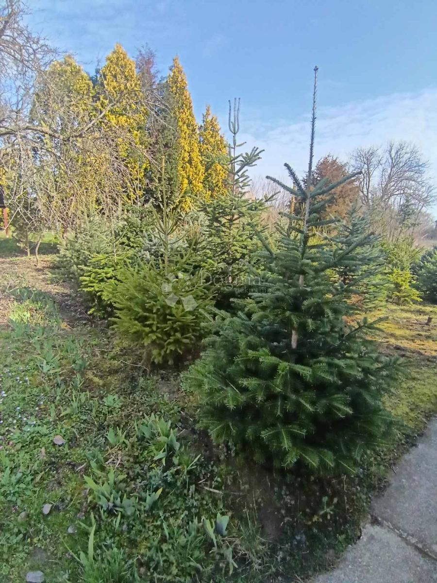 Casa Kapinci, Sopje, 170m2