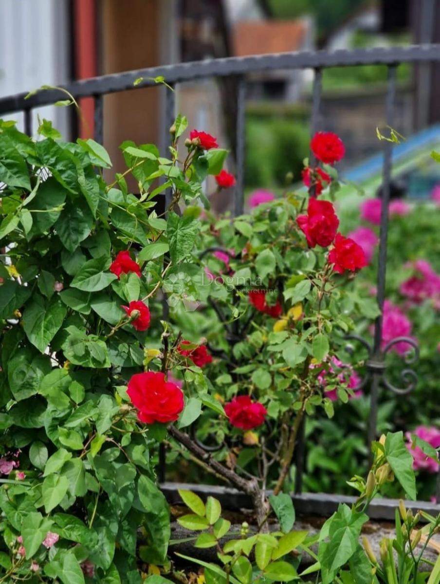 Appartamento Delnice, 140m2