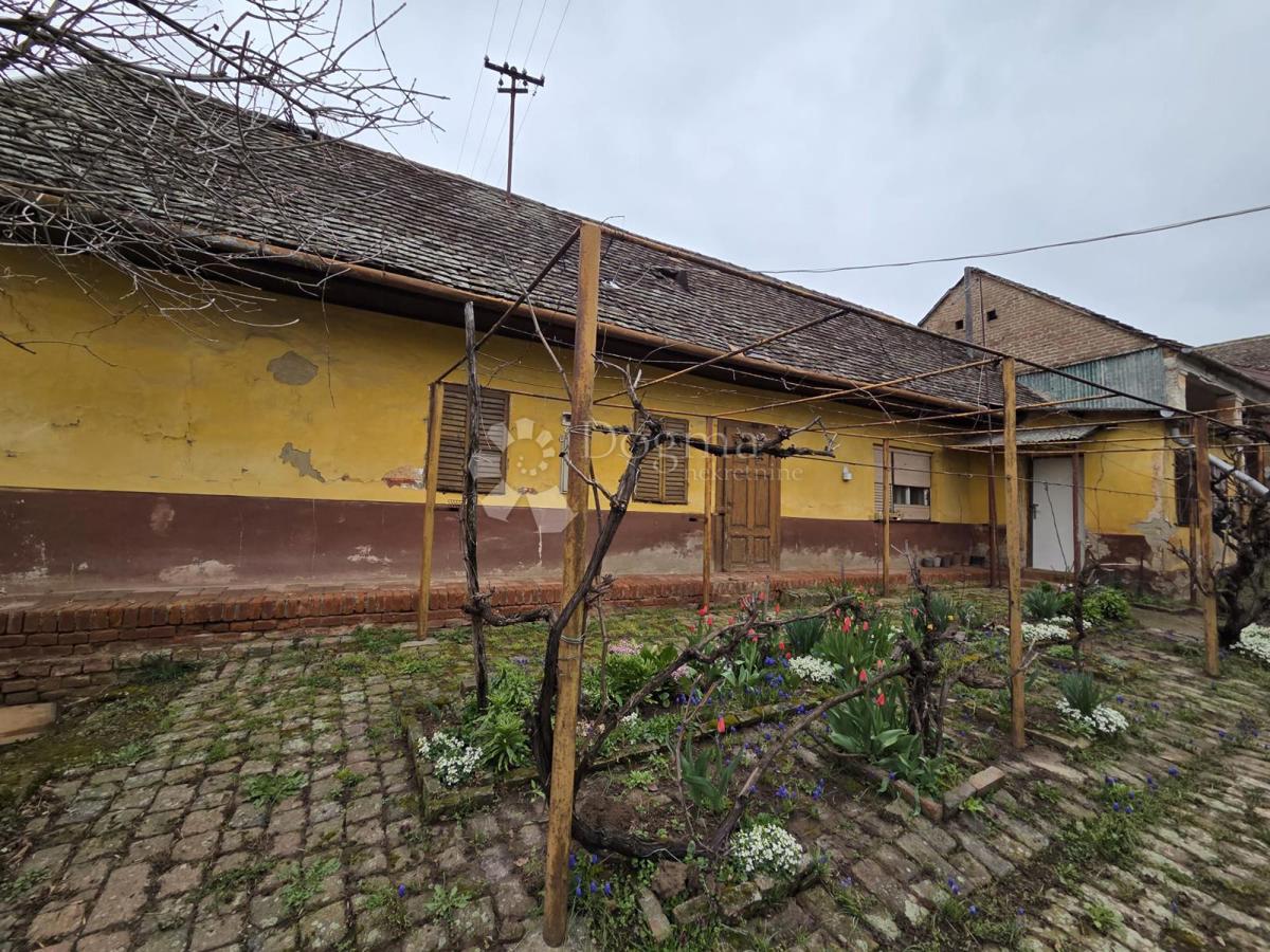 Casa Beli Manastir, 316m2