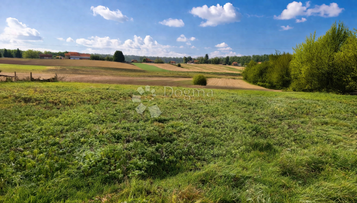 Ampia casa indipendente con grande terreno e strutture accessorie – posizione tranquilla