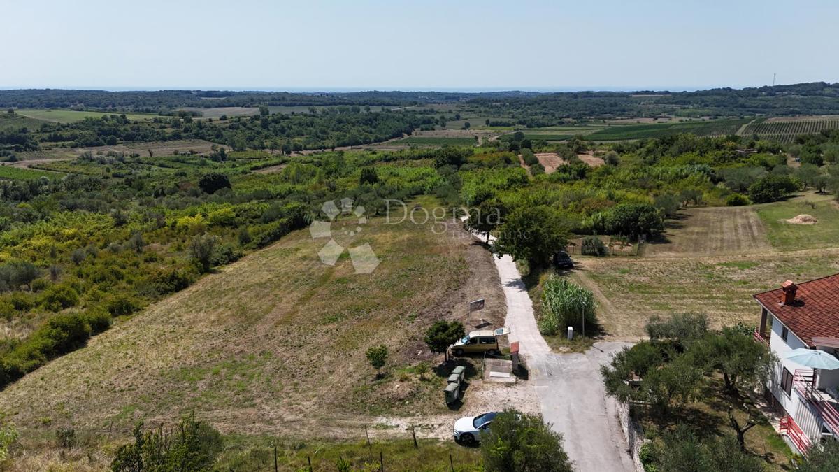 Terreno edificabile Buje, 1,03m2