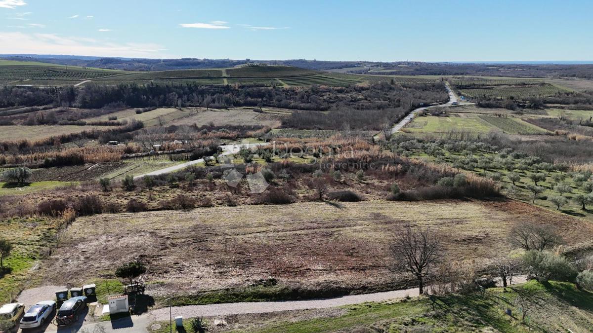 Terreno edificabile Buje, 1,03m2