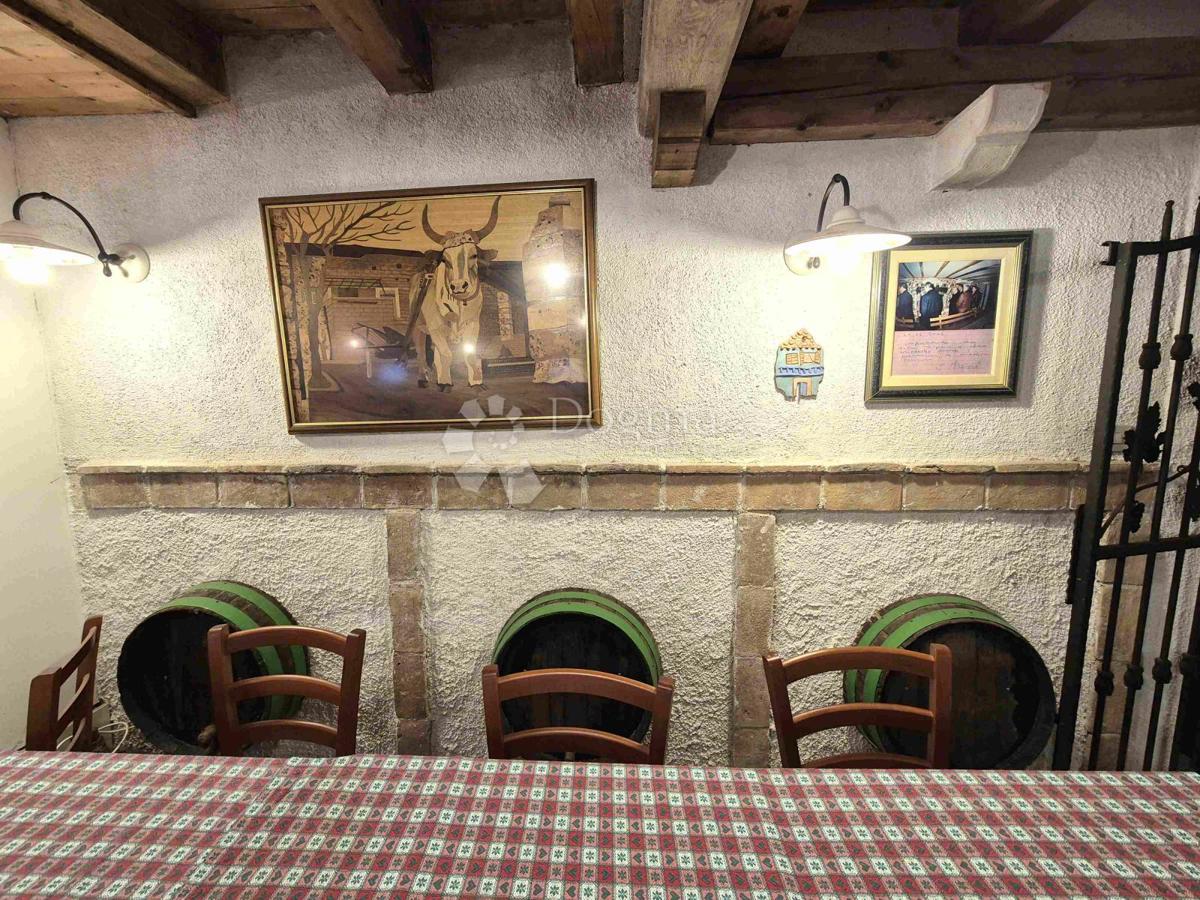 Casa Martinski, Sveta Nedelja, 525m2