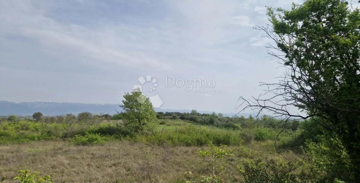 Terreno agricolo Smoković, Zemunik Donji, 6.031m2