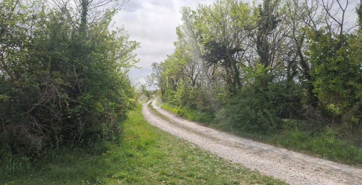 Terreno agricolo Smoković, Zemunik Donji, 6.031m2