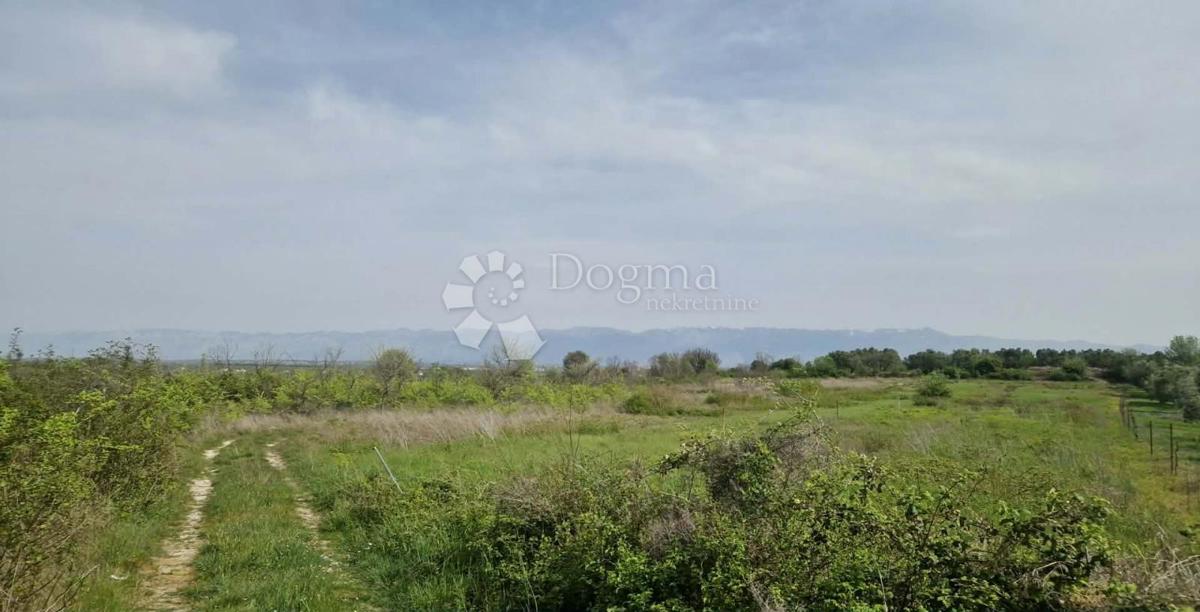 Terreno agricolo Smoković, Zemunik Donji, 6.031m2