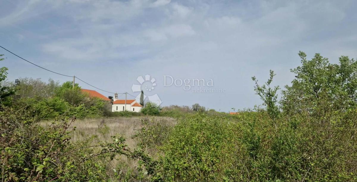 Terreno agricolo Smoković, Zemunik Donji, 6.031m2