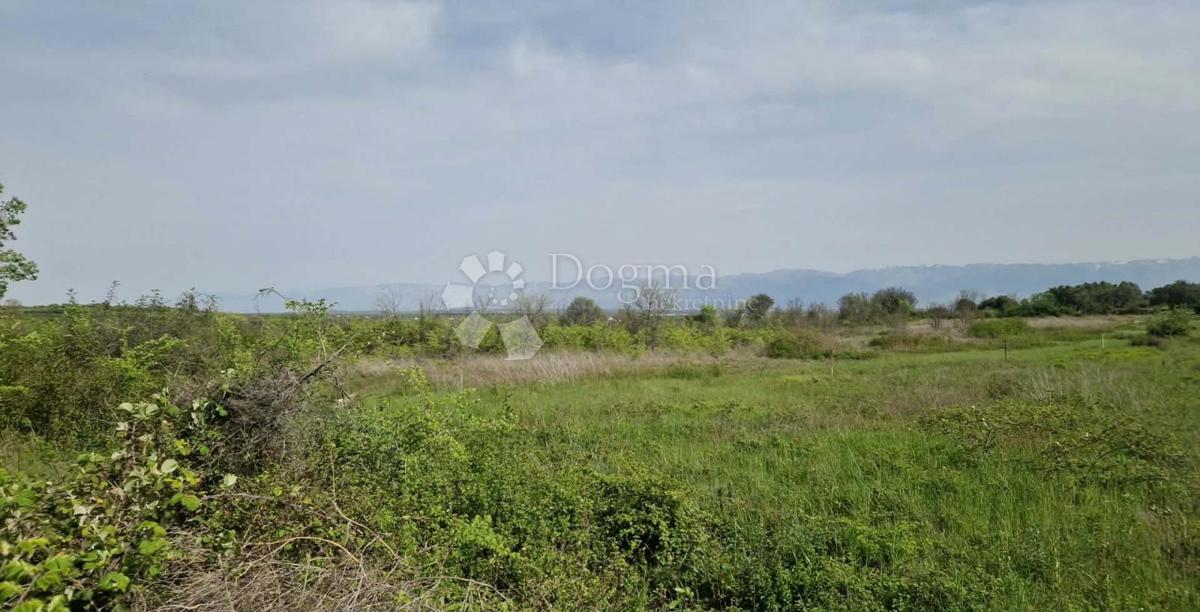 Terreno agricolo Smoković, Zemunik Donji, 6.031m2