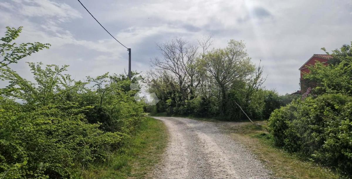 Terreno agricolo Smoković, Zemunik Donji, 6.031m2