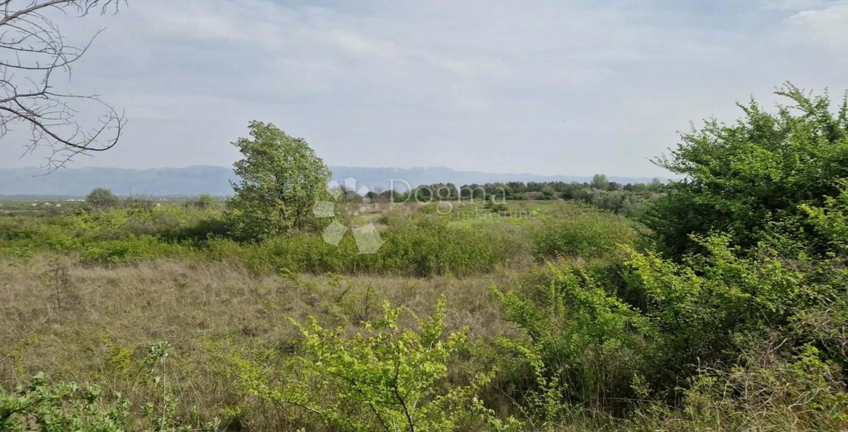 Terreno agricolo Smoković, Zemunik Donji, 6.031m2