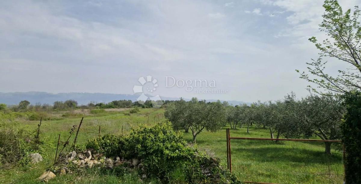 Terreno agricolo Smoković, Zemunik Donji, 6.031m2