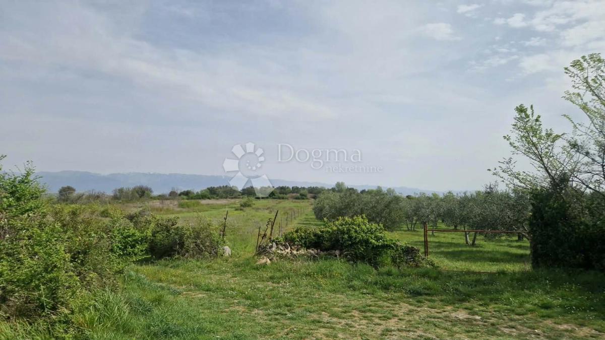 Terreno agricolo Smoković, Zemunik Donji, 6.031m2