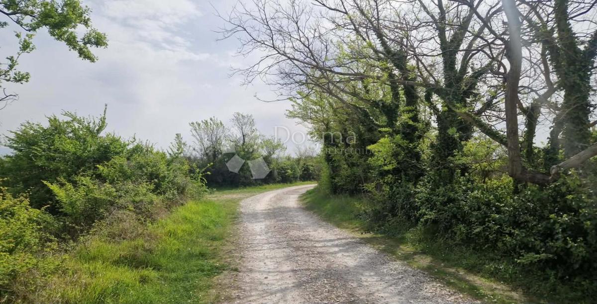 Terreno agricolo Smoković, Zemunik Donji, 6.031m2