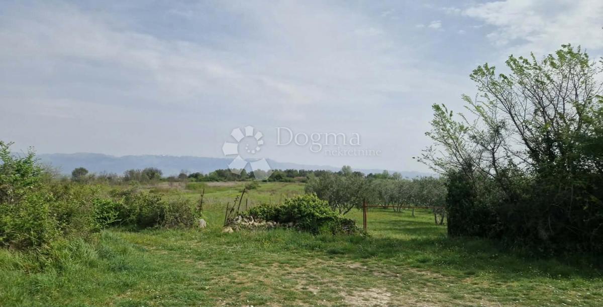 Terreno agricolo Smoković, Zemunik Donji, 6.031m2