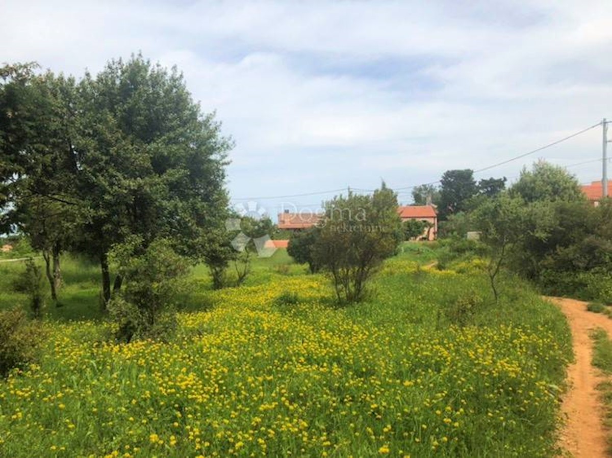 Terreno Mali Lošinj, 1.982m2