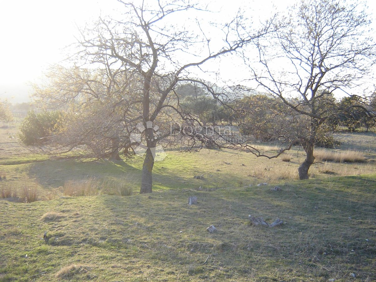 Terreno Supetarska Draga, Rab, 9.600m2