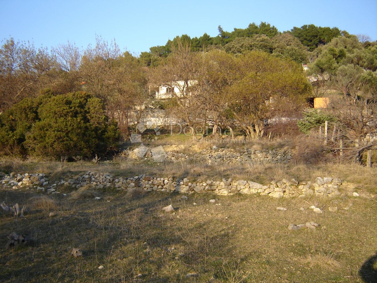 Terreno Supetarska Draga, Rab, 9.600m2