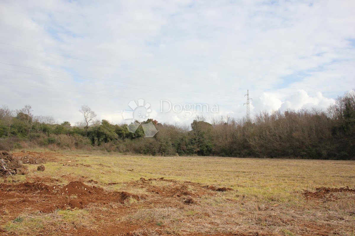 Terreno Vodnjan, Fondole, 4.030m2