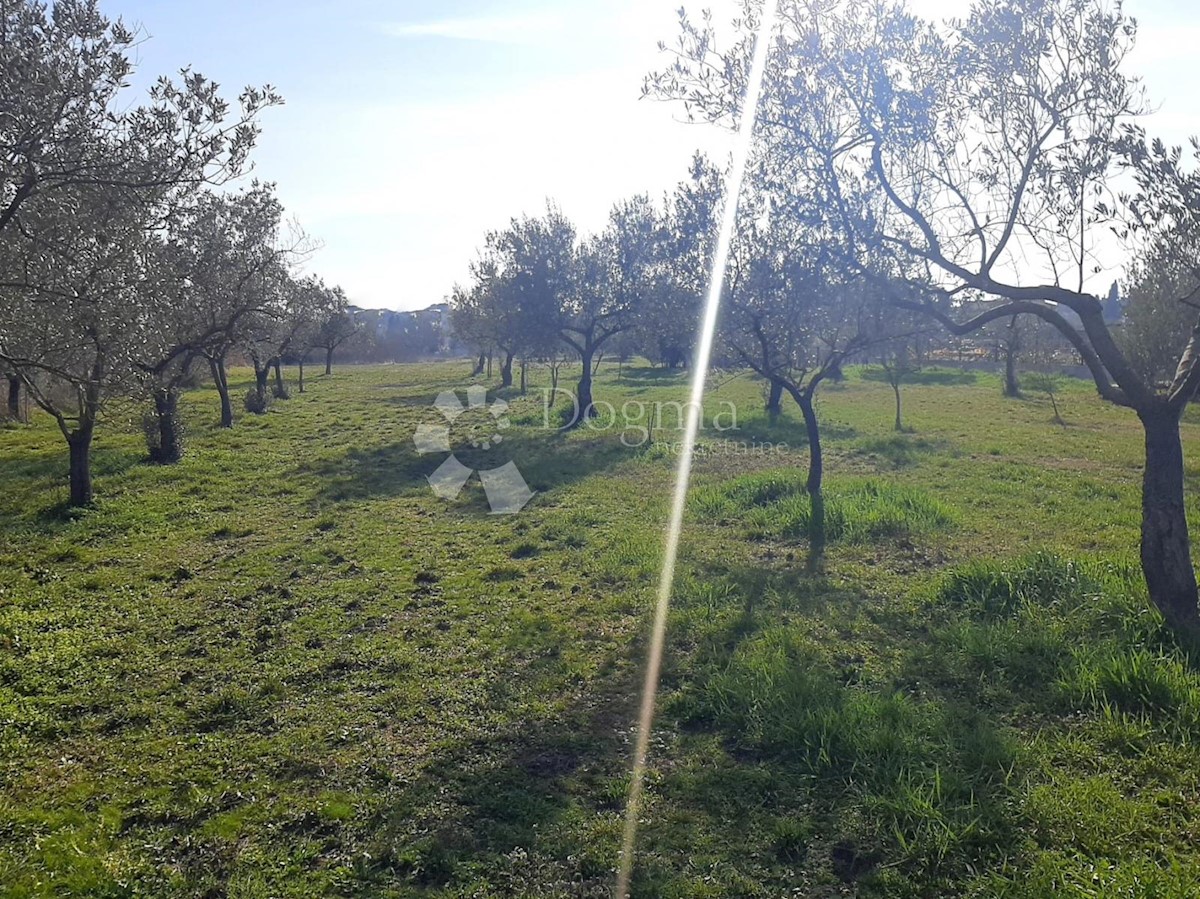 ESCLUSIVO TERRENO EDIFICABILE IN POSIZIONE MIGLIORE