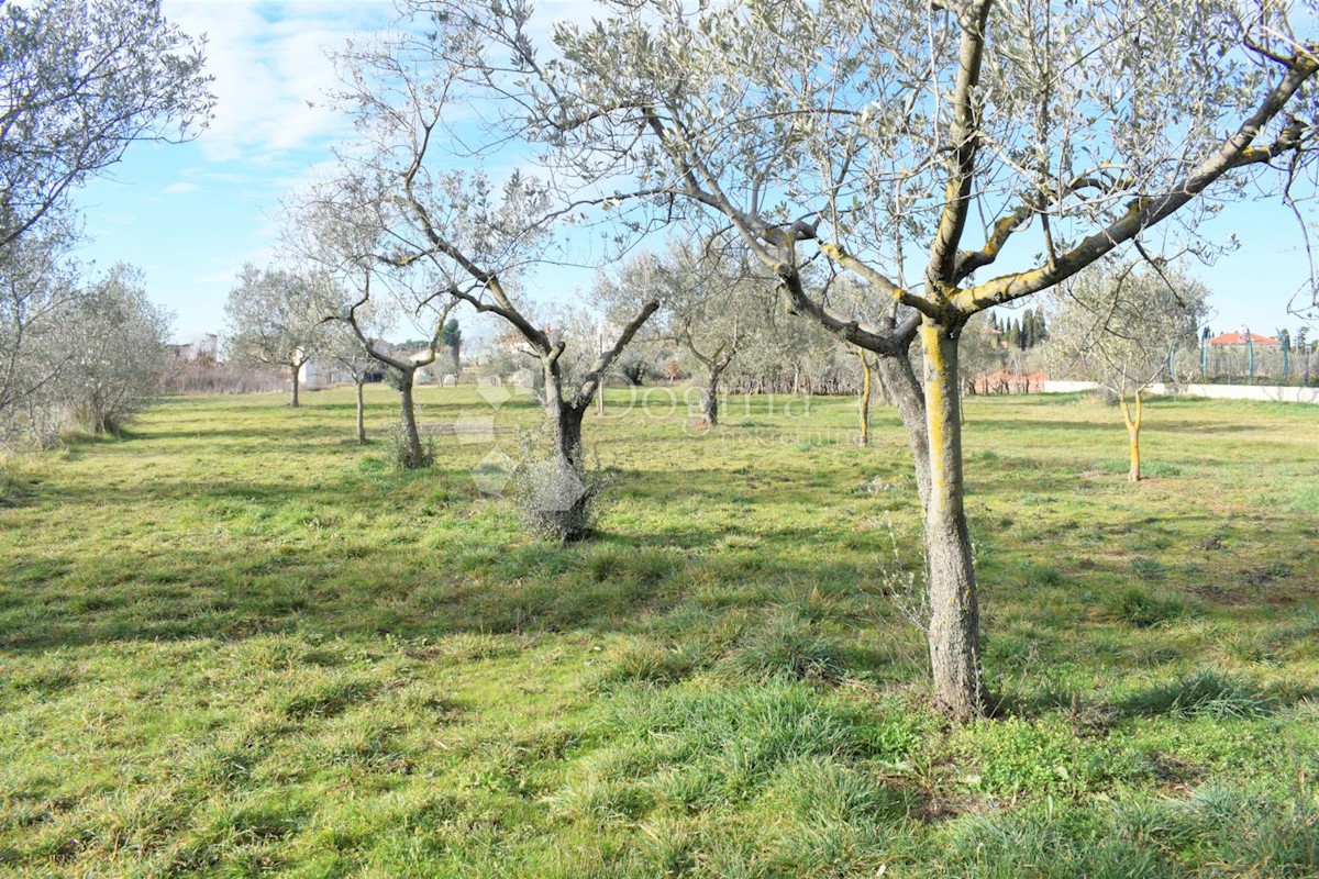 ESCLUSIVO TERRENO EDIFICABILE IN POSIZIONE MIGLIORE