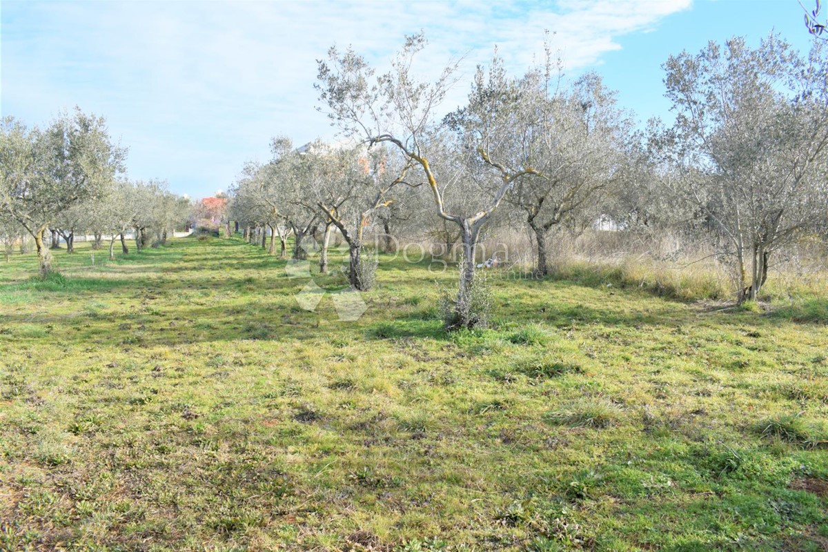 ESCLUSIVO TERRENO EDIFICABILE IN POSIZIONE MIGLIORE