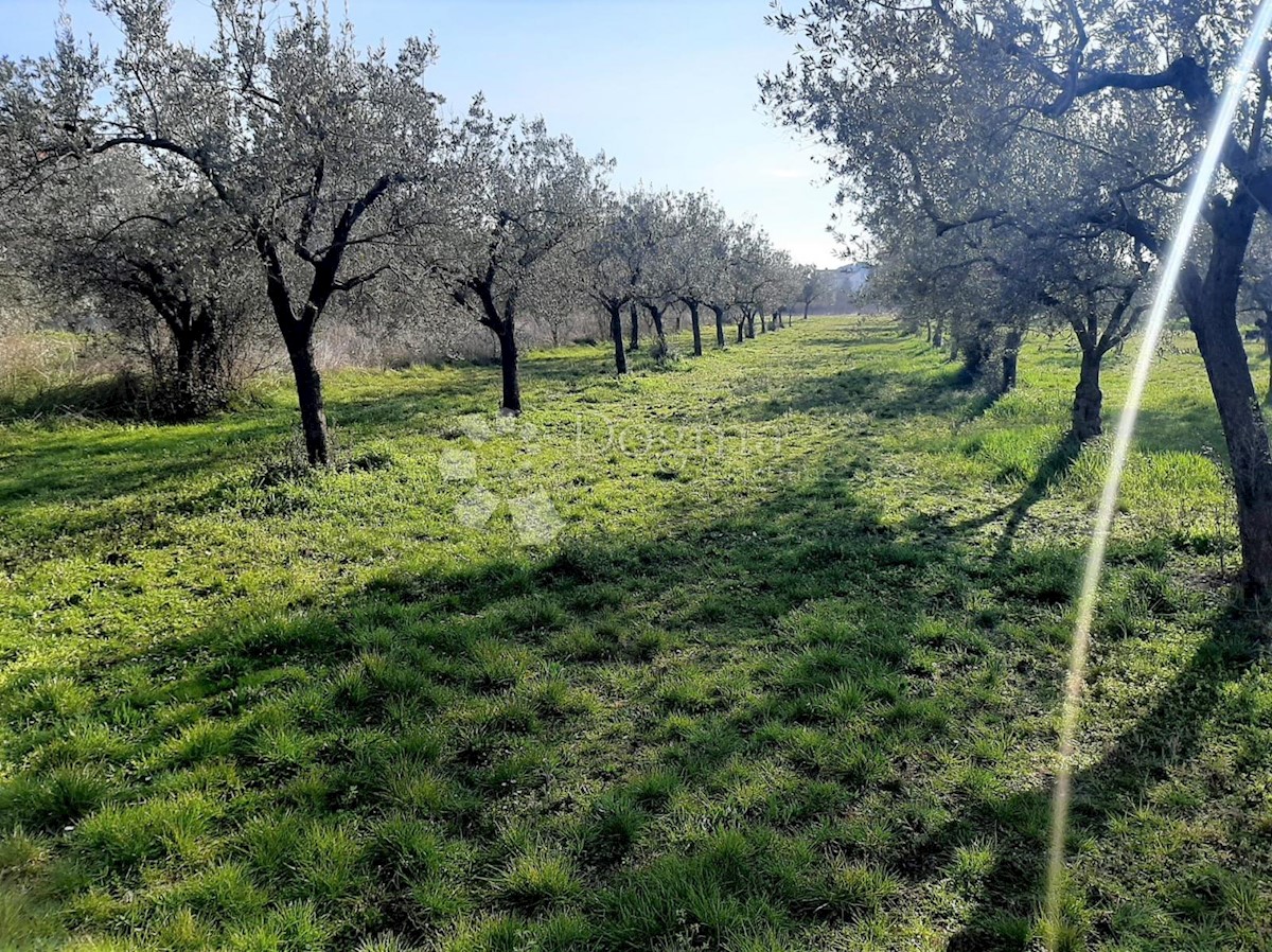 ESCLUSIVO TERRENO EDIFICABILE IN POSIZIONE MIGLIORE