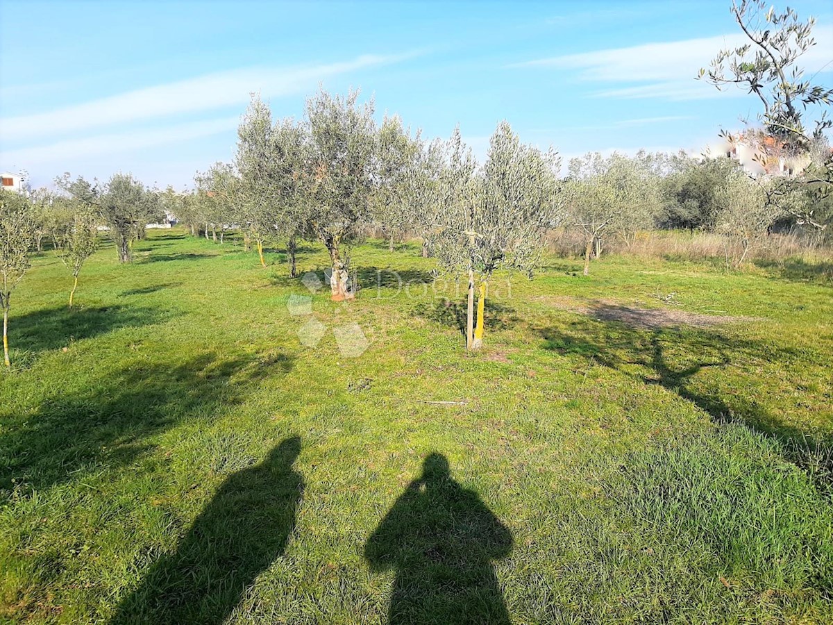 ESCLUSIVO TERRENO EDIFICABILE IN POSIZIONE MIGLIORE