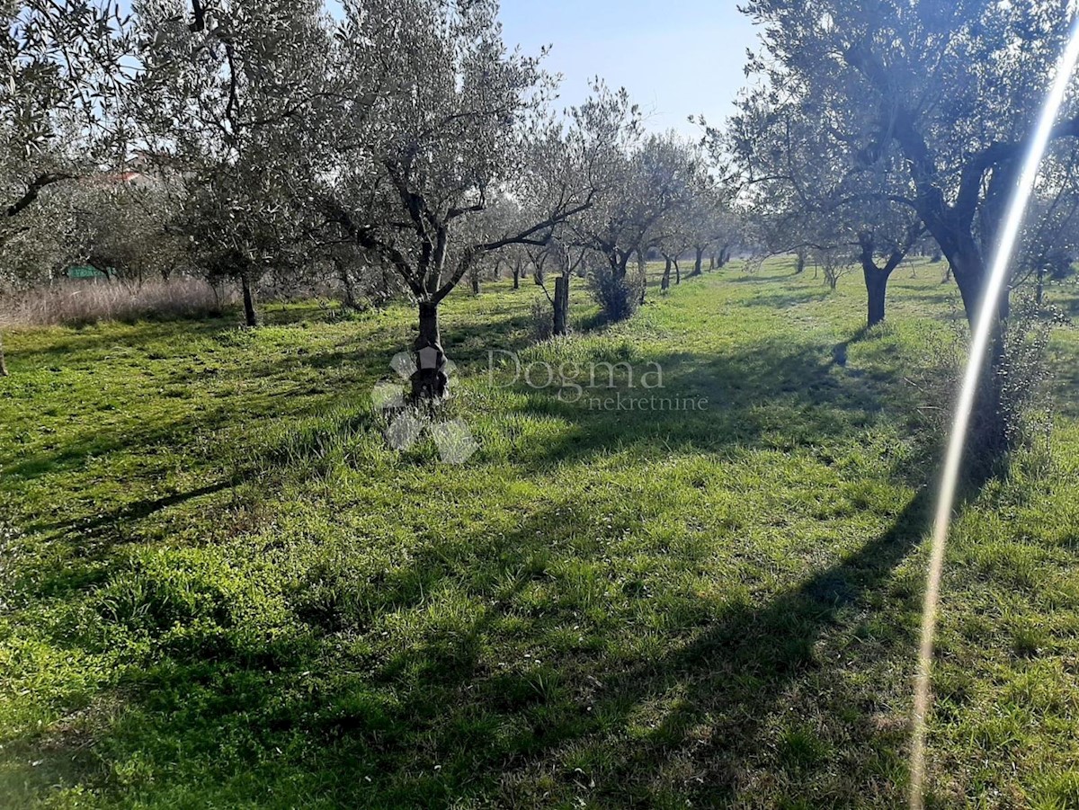 ESCLUSIVO TERRENO EDIFICABILE IN POSIZIONE MIGLIORE