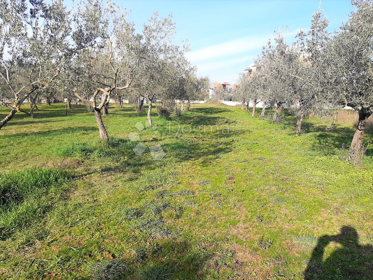 ESCLUSIVO TERRENO EDIFICABILE IN POSIZIONE MIGLIORE