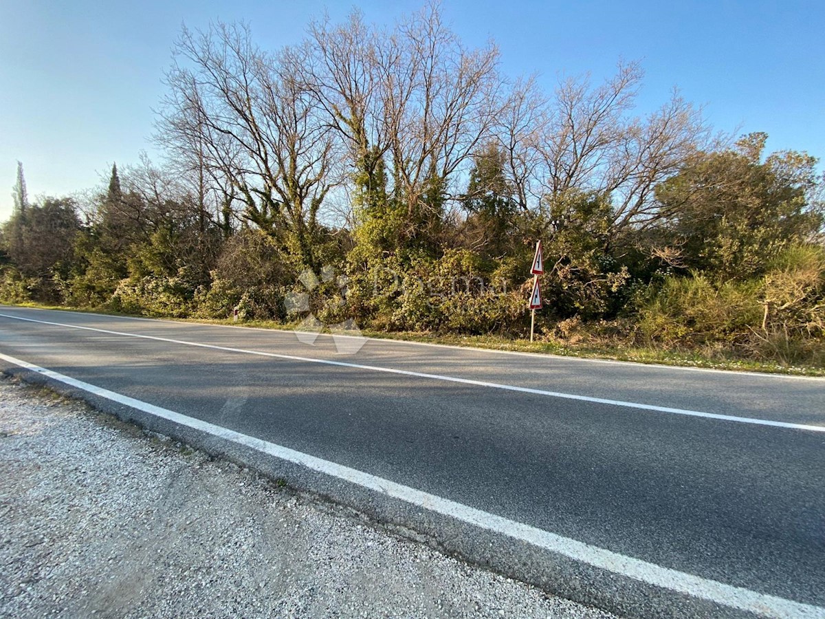 Terreno Čilipi, Konavle, 5.558m2