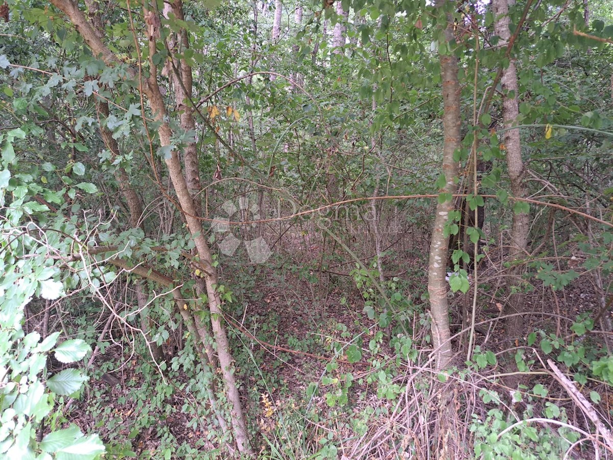 Terreno Sovinjak, Buzet, 1.002m2