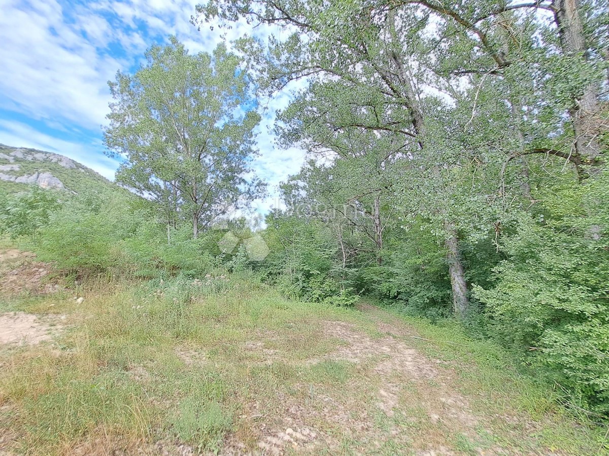 Terreno Sovinjak, Buzet, 1.002m2