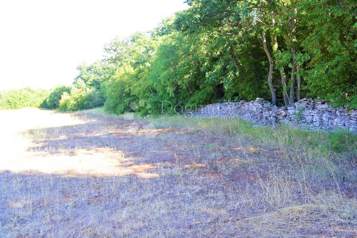 ESCLUSIVO SPAZIOSO TERRENO AGRICOLO