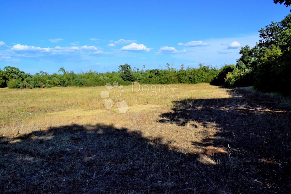 ESCLUSIVO SPAZIOSO TERRENO AGRICOLO