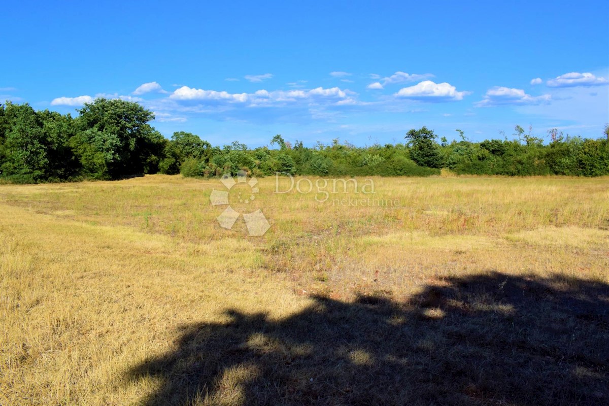 ESCLUSIVO SPAZIOSO TERRENO AGRICOLO