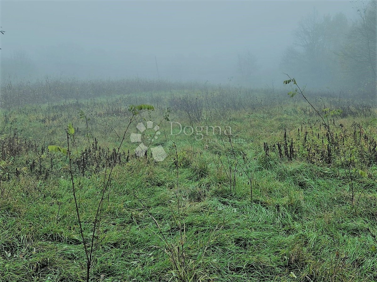 Terreno Budinšćina, Budinščina, 19.957m2