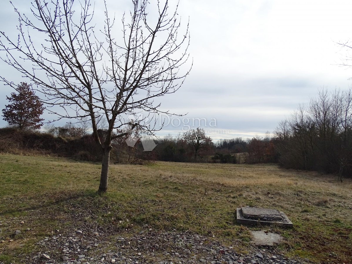 Casa Lindar, Pazin - Okolica, 232,43m2