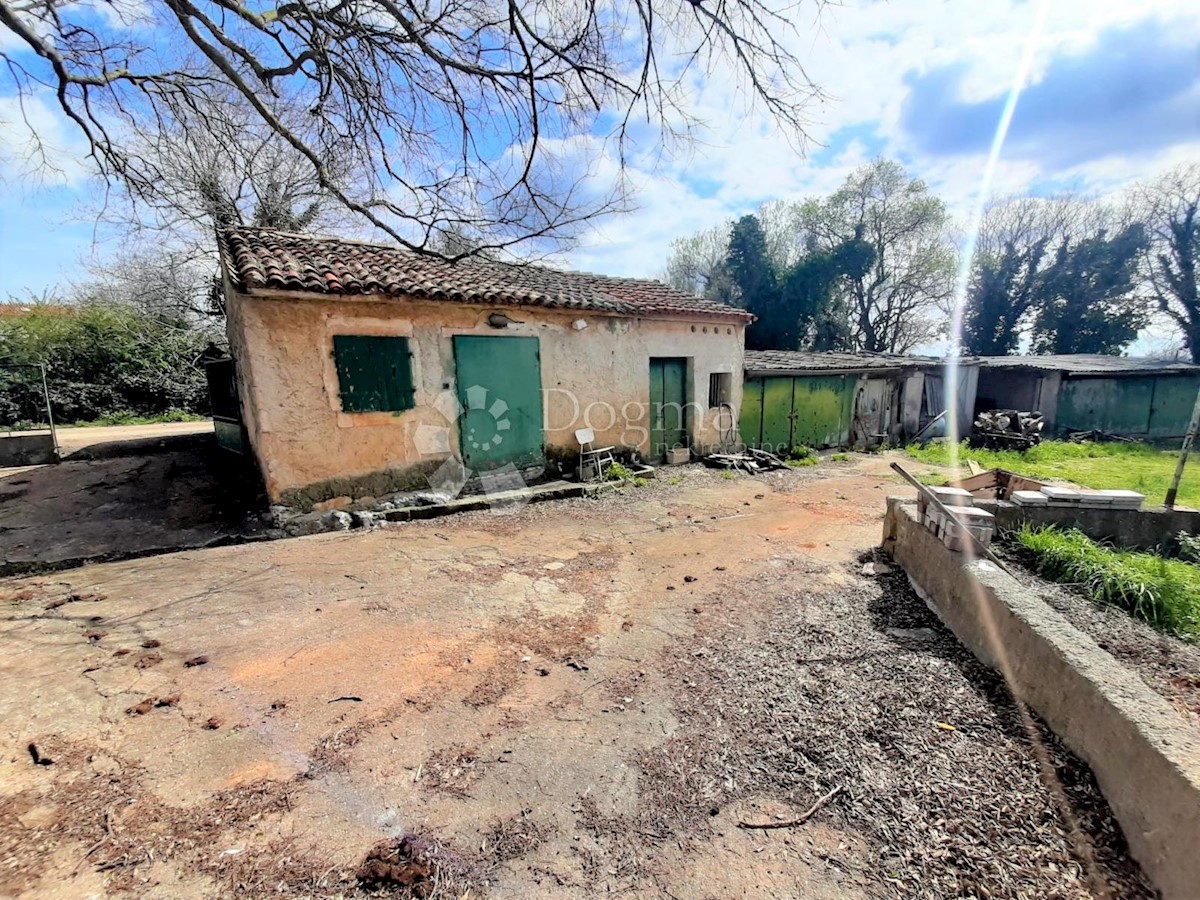 CASA D'EPOCA CON VISTA MARE E AMPIO GIARDINO