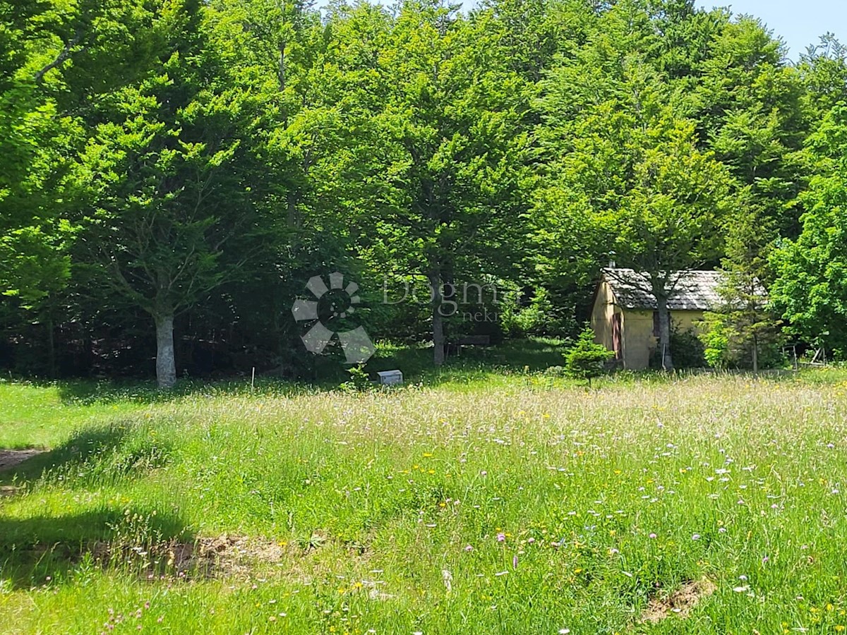 Terreno Bribir, Vinodolska Općina, 7.018m2