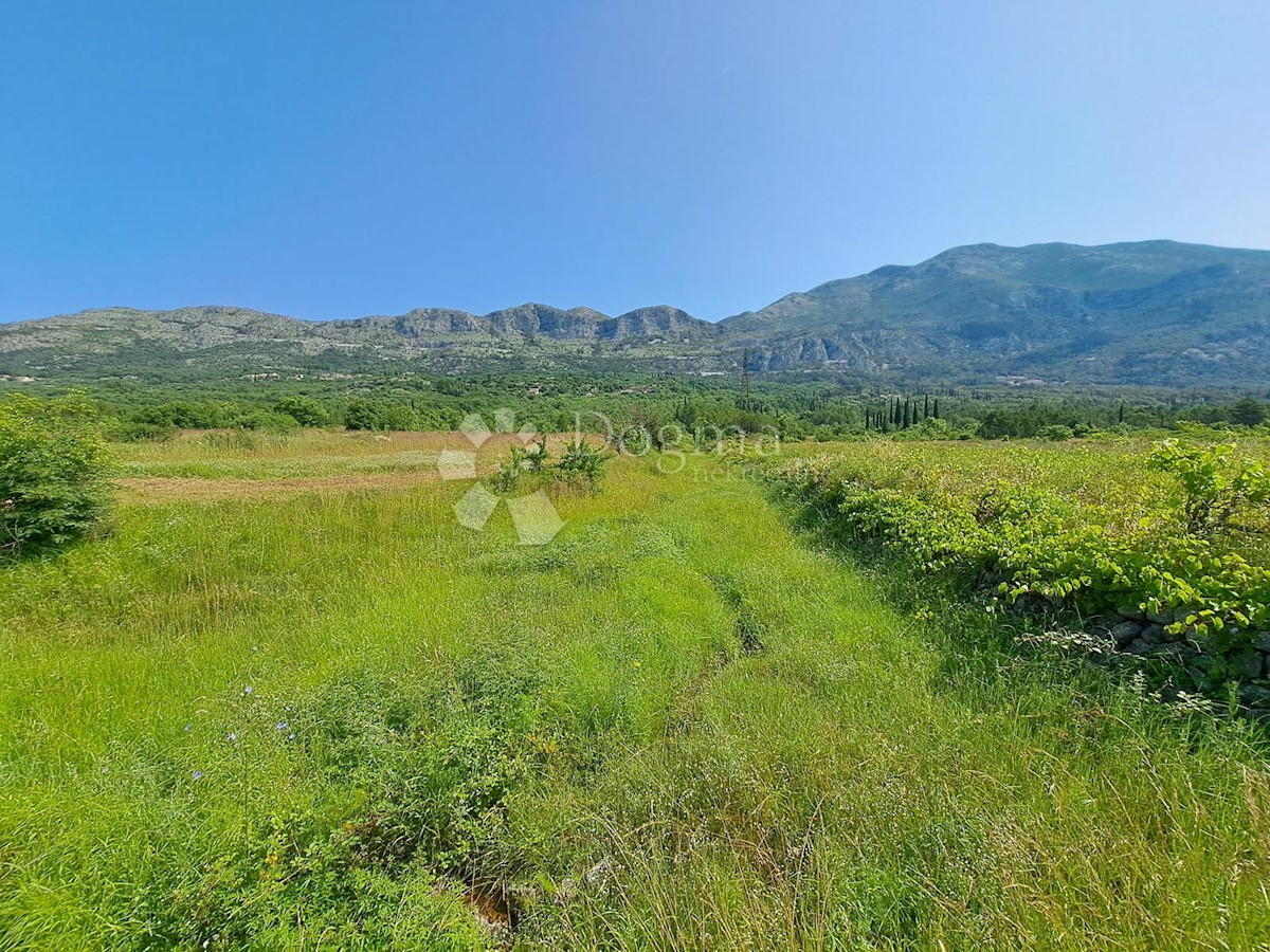 Terreno Mihanići, Konavle, 5.675m2