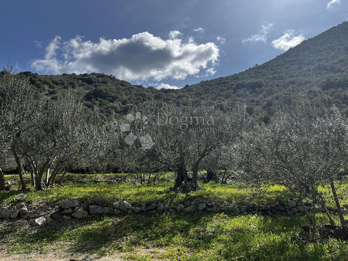 Terreno Trpanj, 2.647m2