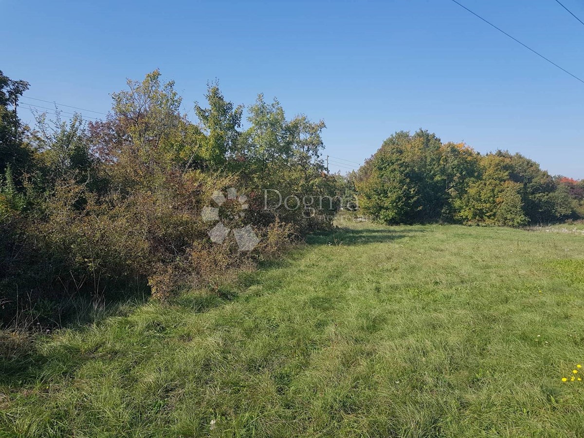 Terreno Nedešćina, Sveta Nedelja, 40.000m2