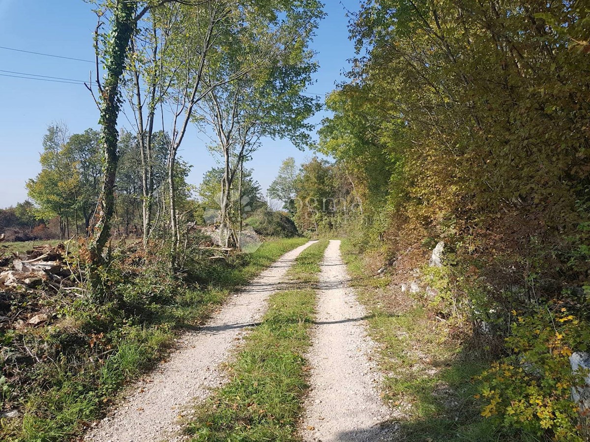 Terreno Nedešćina, Sveta Nedelja, 40.000m2