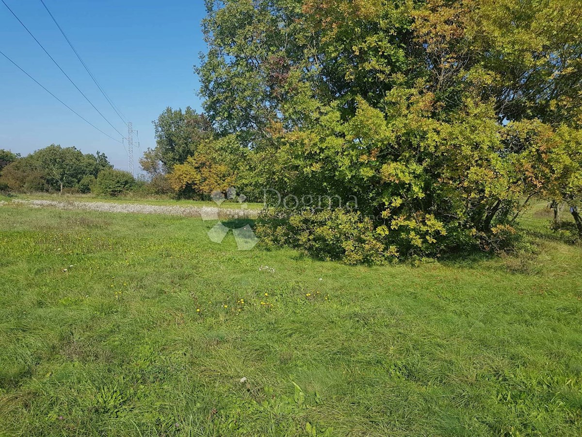 Terreno Nedešćina, Sveta Nedelja, 40.000m2