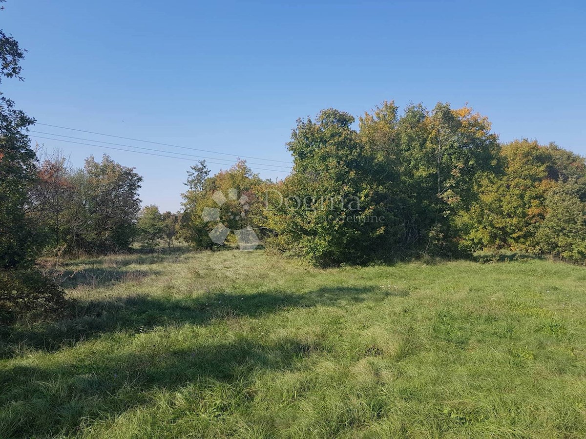 Terreno Nedešćina, Sveta Nedelja, 40.000m2