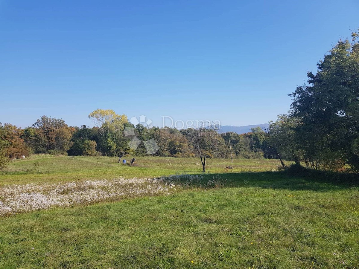 Terreno Nedešćina, Sveta Nedelja, 40.000m2