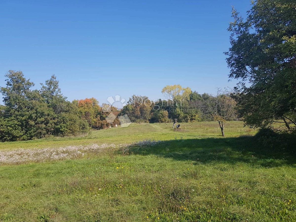 Terreno Nedešćina, Sveta Nedelja, 40.000m2