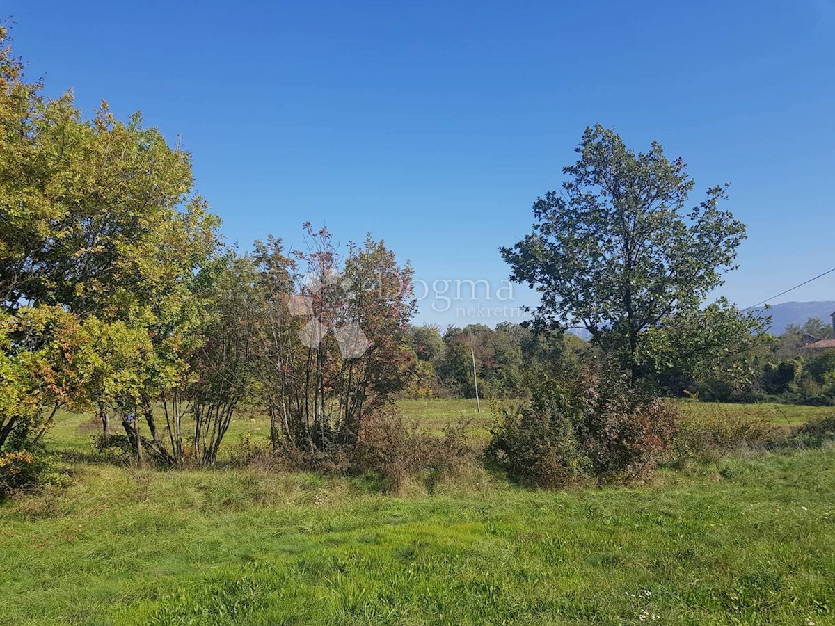 Terreno Nedešćina, Sveta Nedelja, 40.000m2