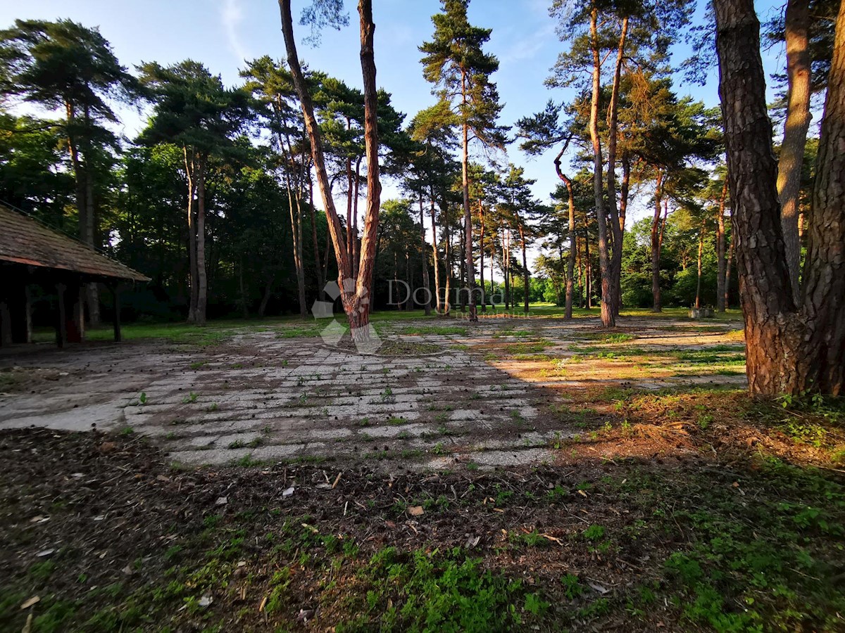 Terreno Mačkovec, Čakovec - Okolica, 55,37m2